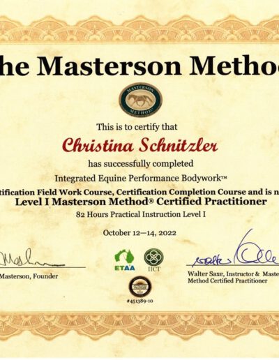 Masterson Method Level 1